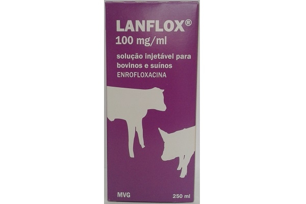 Lanflox 10% Inj.